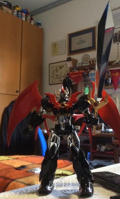 11040821_10205176484844573_1999825423_n