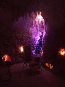 13882138_1707324866148563_5007082668991238528_n