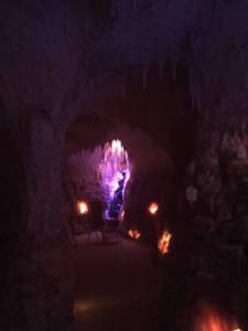 13882193_1707324742815242_5695853301185764977_n