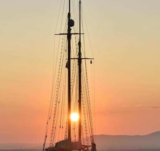 ESTATE 2020 …. ESTATE DIVERSA … (Antonella&nbsp;Giroldini)