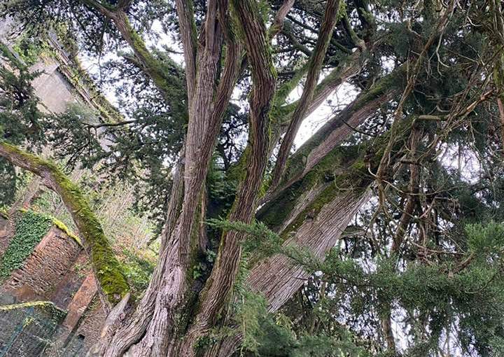 … bei ricordi pre – covid – la fattoria degli asinelli ( Antonella&nbsp;Giroldini)
