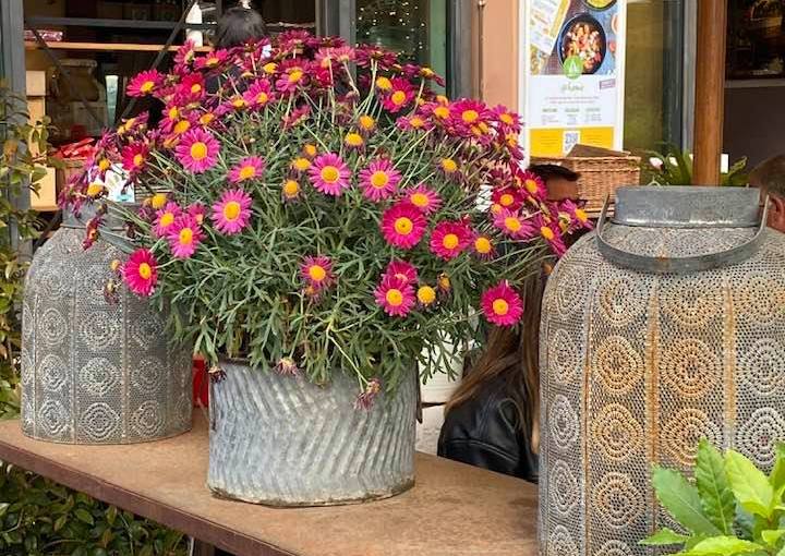 Riaperture di Maggio …. pranzo al mare e pomeriggio a Villa Pamphili (Antonella&nbsp;Giroldini)