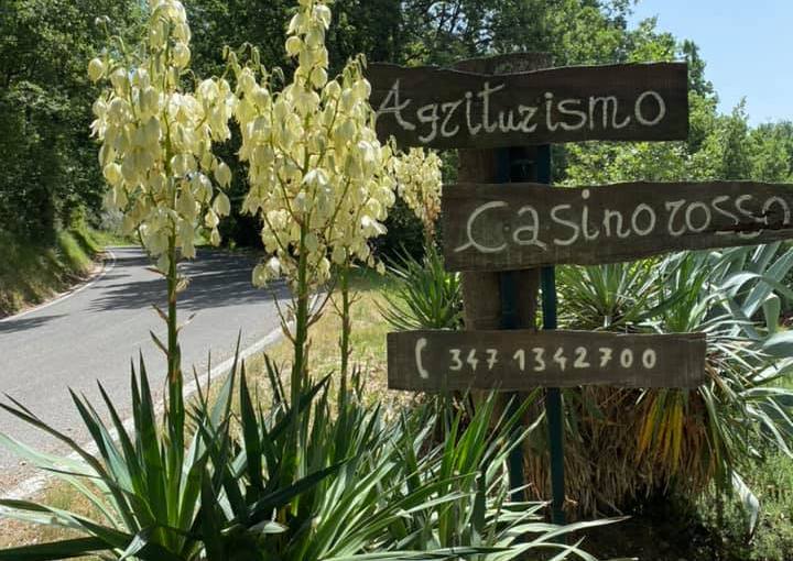 … il Casino Rosso … (Antonella&nbsp;Giroldini)