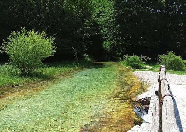 NOVALESA (Antonella Giroldini)