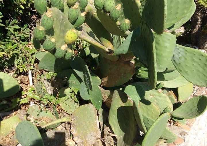 WEEK END A SPERLONGA (Antonella&nbsp;Giroldini)