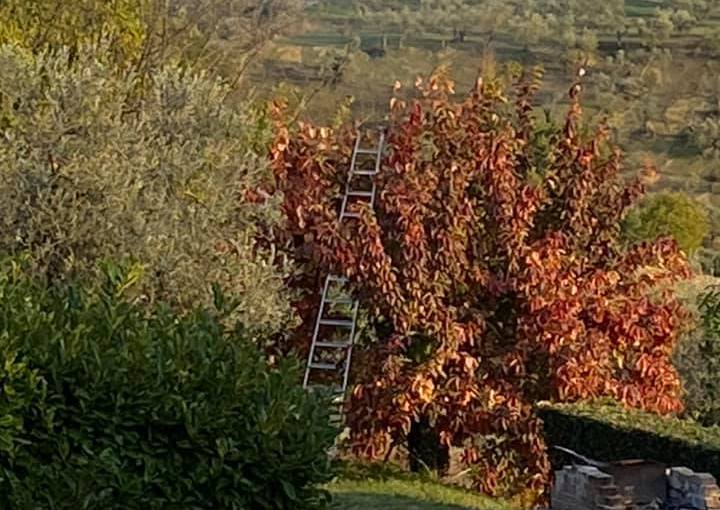 Abruzzo altopiano delle&nbsp;Rocche