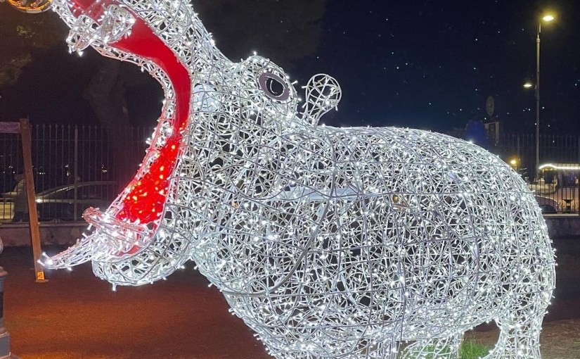 Luci di Natale ad Anzio (Antonella&nbsp;Giroldini)