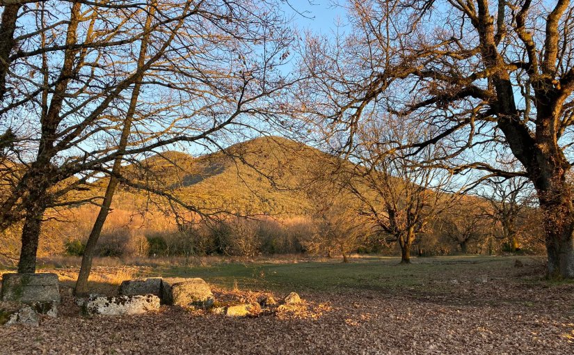 CARSULAE (Antonella Giroldini)