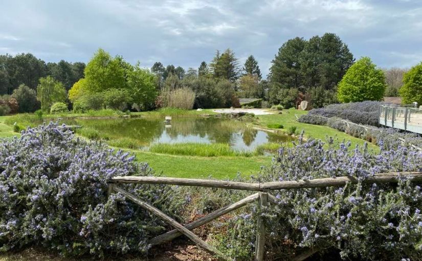 AGRITURISMO PARCO DEL CIMIMINO (Antonella&nbsp;Giroldini)