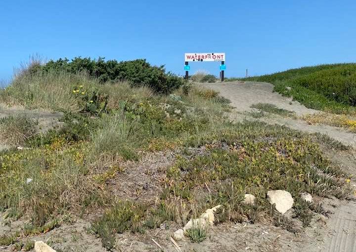 WATERFRONT … (Antonella&nbsp;Giroldini)