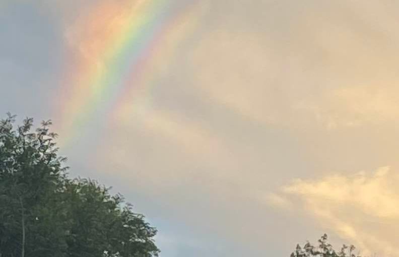 MAREMMA (Antonella Giroldini)