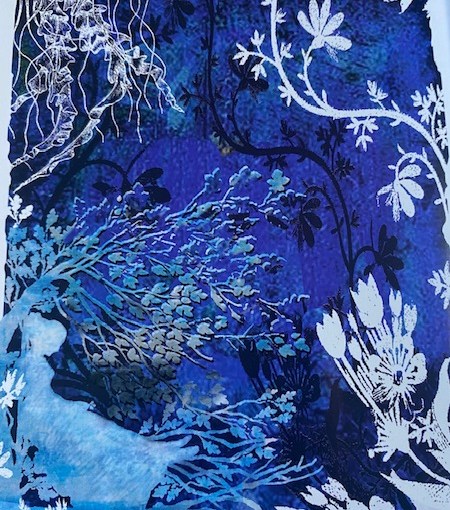 Narba e le meduse di Albarese (Antonella&nbsp;Giroldini)